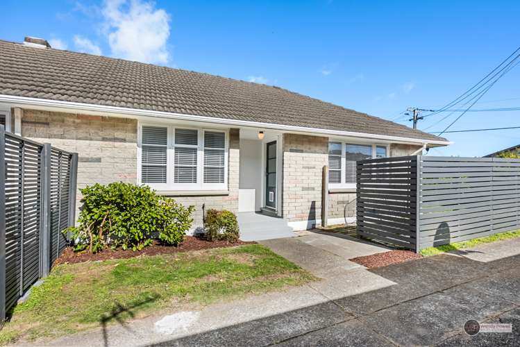 12A Nelson Street Petone Lower Hutt City Houses for Sale One Roof