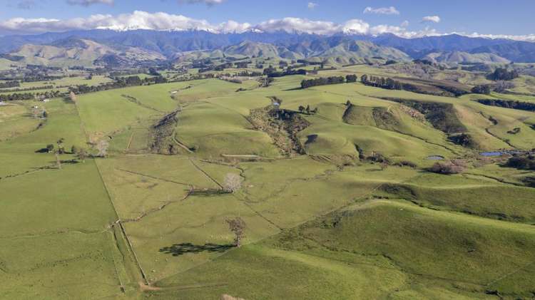 Burnetts Road Masterton_6