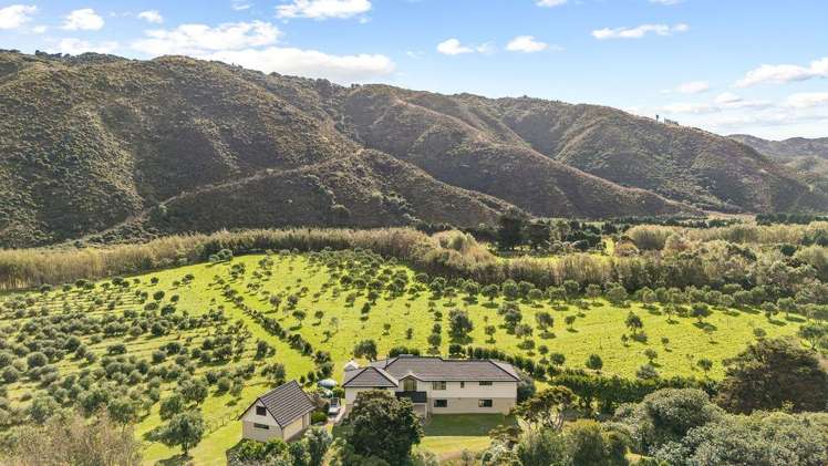 1276 Coast Road Wainuiomata_15