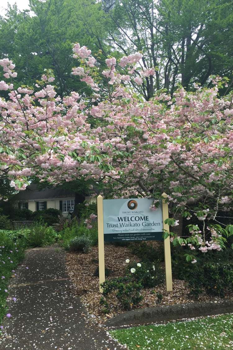 1b/11 London Street Hamilton Central_9