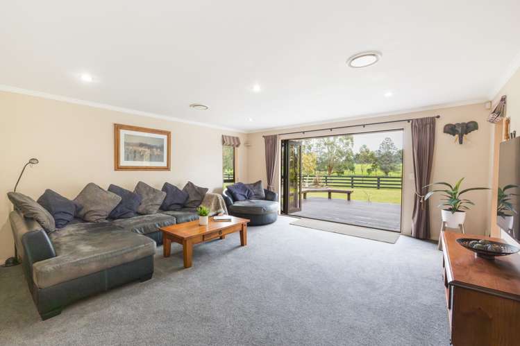 38B Grove Road Hiwinui_11