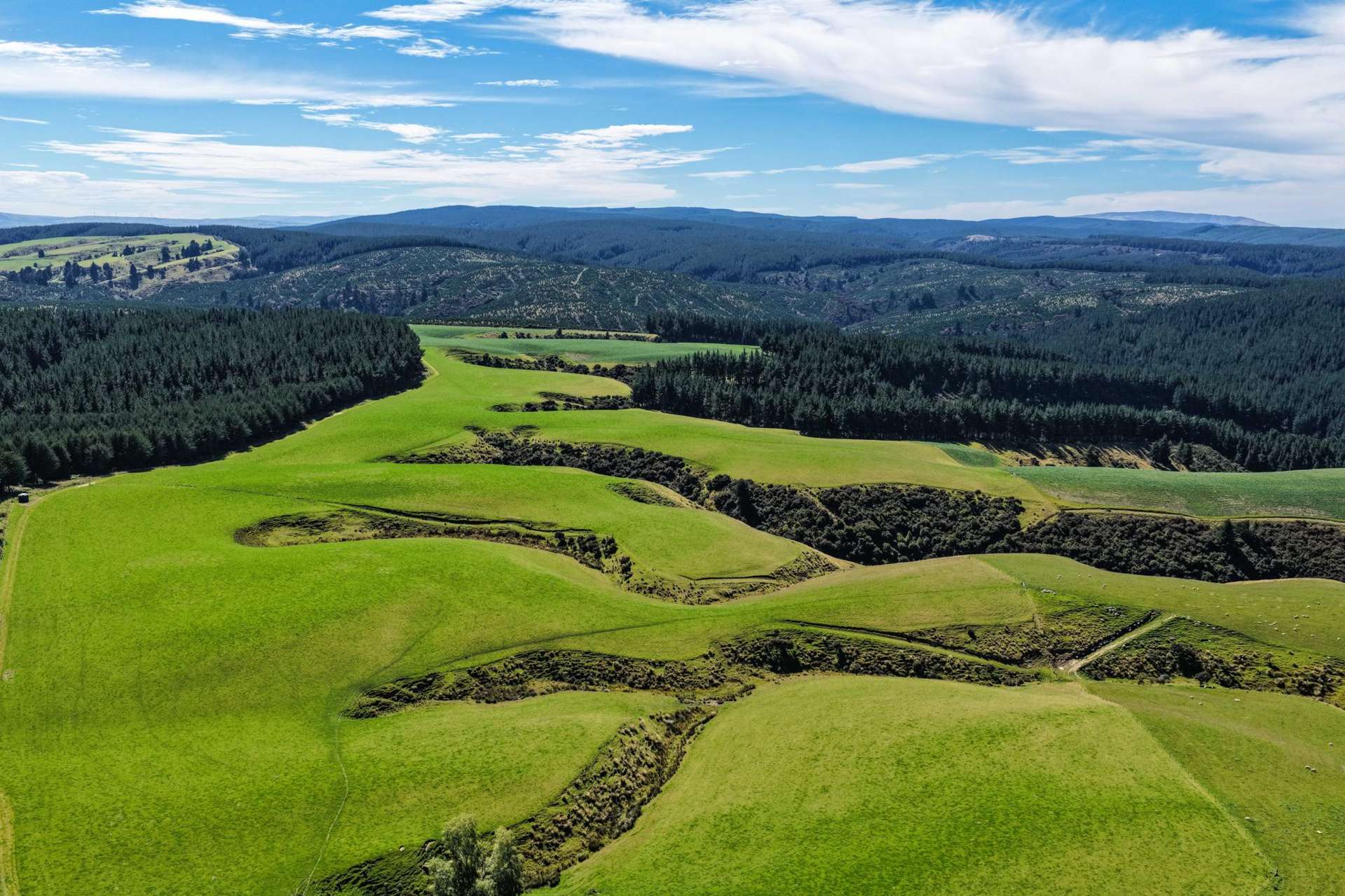 759 Waitahuna Gully Road Lawrence_0