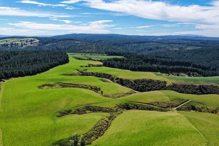 759 Waitahuna Gully Road Lawrence_0