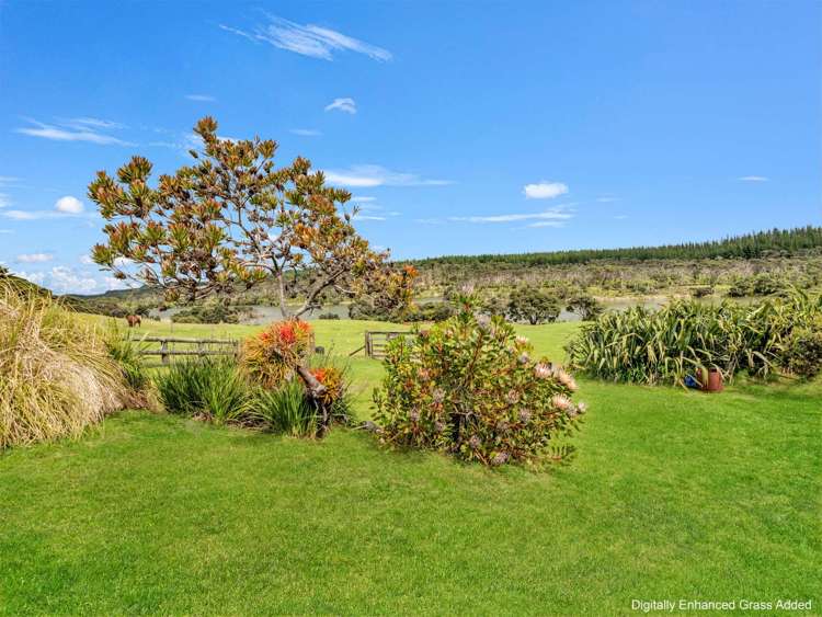 487 Wilson Road South Head Helensville_30