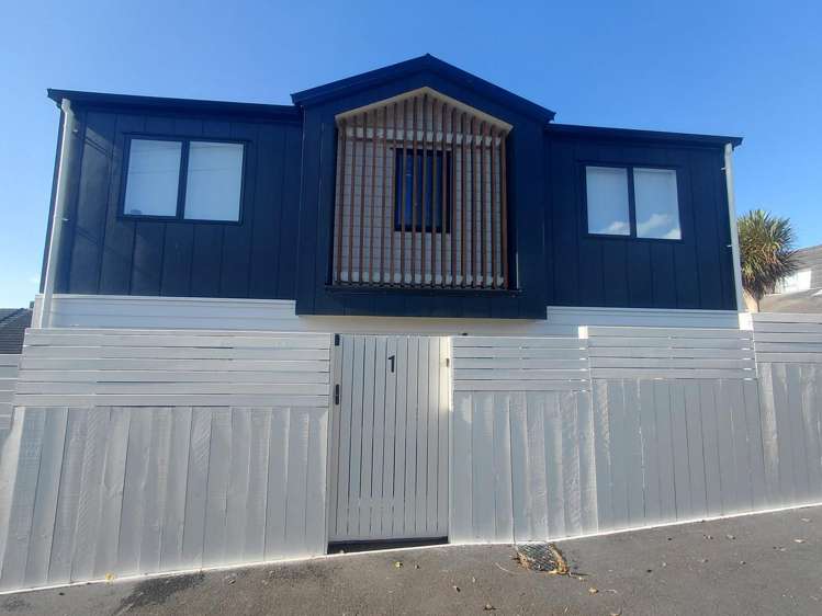 1/19 Alverston Street_0