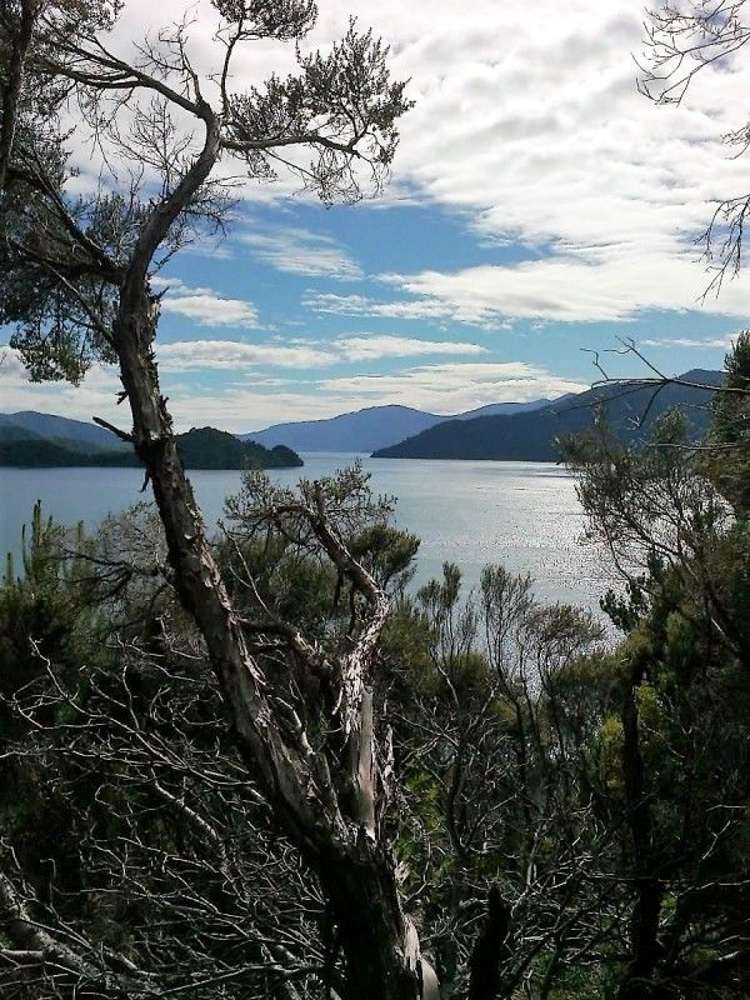 North West Bay Marlborough Sounds_6