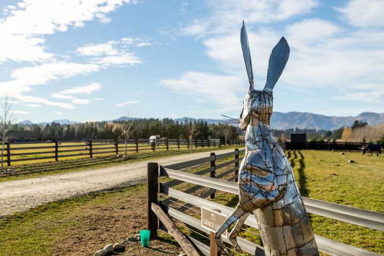 474 Wanaka-Luggate Highway Wanaka_13