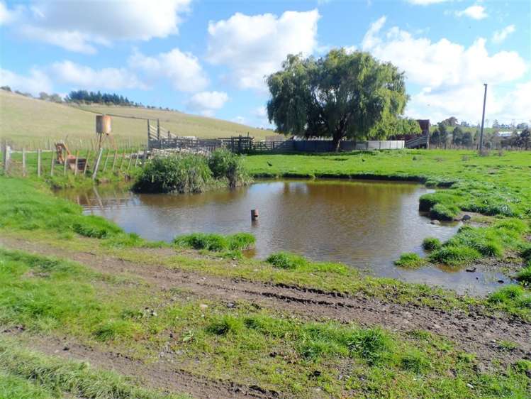 71 Wapiti Avenue Feilding_13