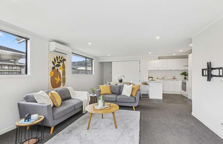 103B Hobart Street Miramar_12