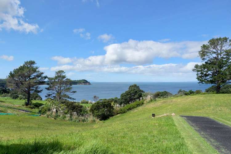 15 Palm View Terrace Gulf Harbour_10