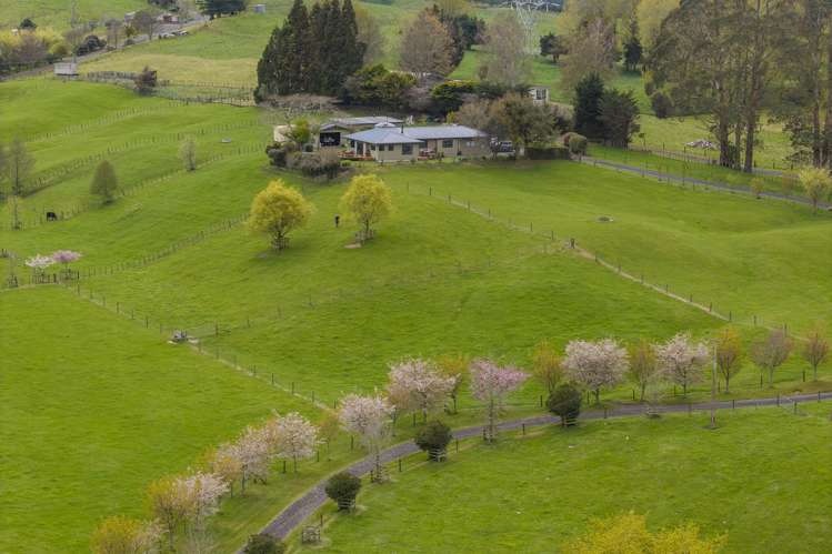 698 Aratiatia Road Wairakei_39