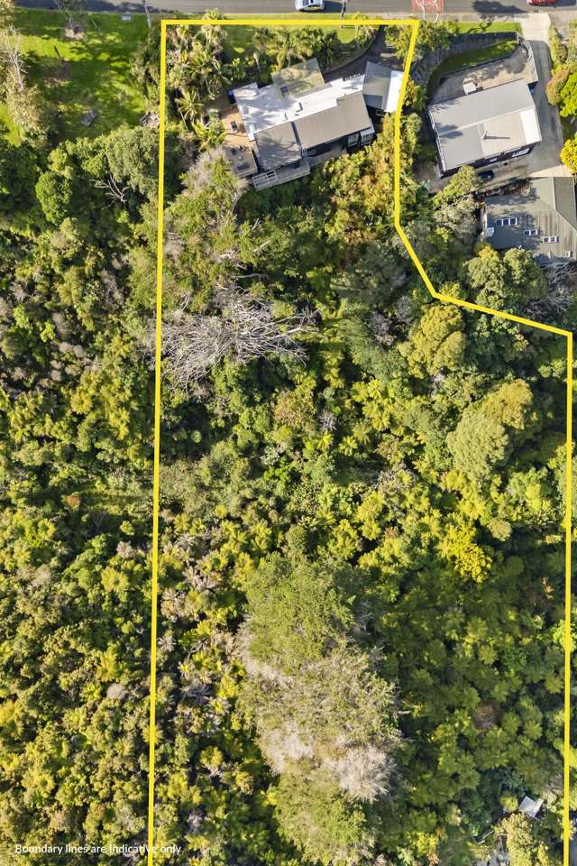 49 Goodall Street Hillsborough_2
