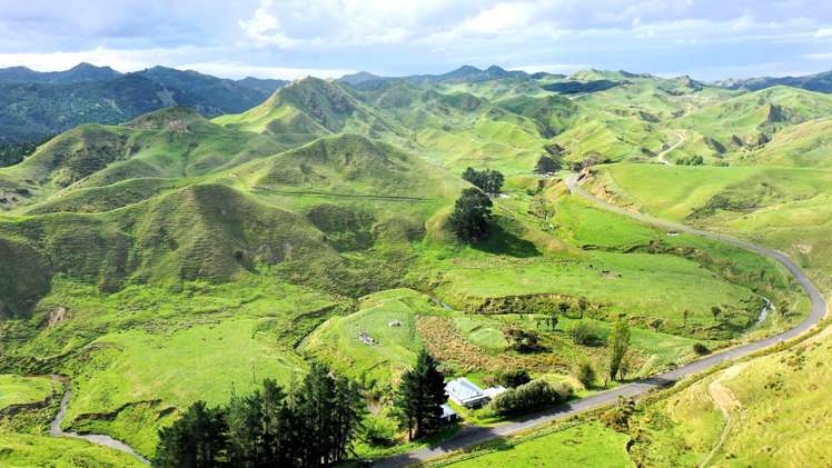 2269 Coast Road Pongaroa_21