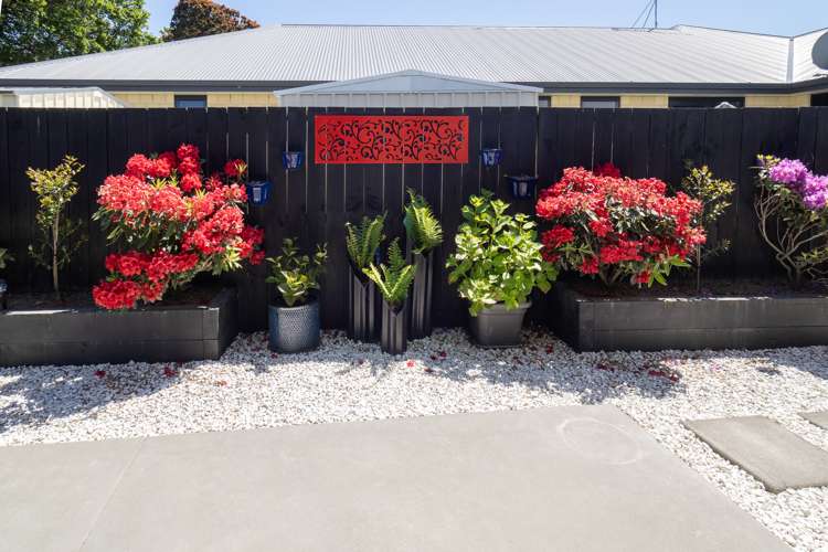 22 Elmwood Grove Tinwald_5