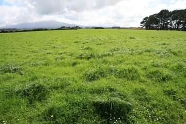 297 Mangawhero Road_2