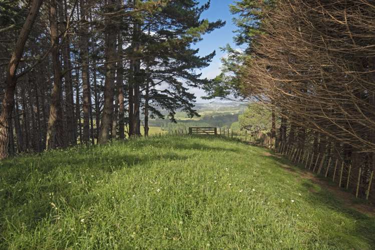 132b Dormer Road Waitoki_19