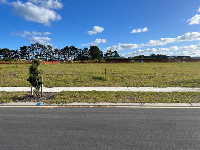 55 Te Taniwha Road One Tree Point_1