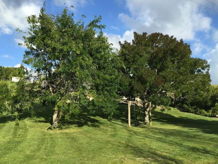 109 Glenmore Road Coatesville_12