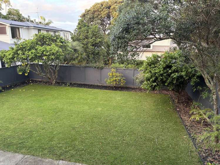 2a Hamana Street Narrow Neck_15