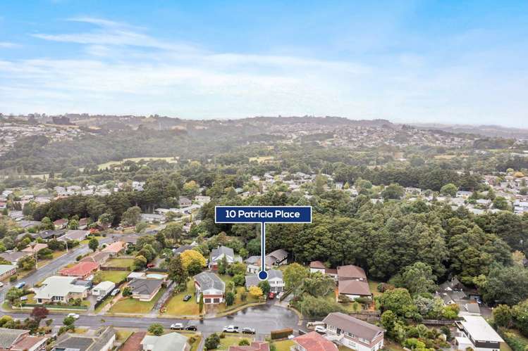 10 Patricia Place Hillpark_13