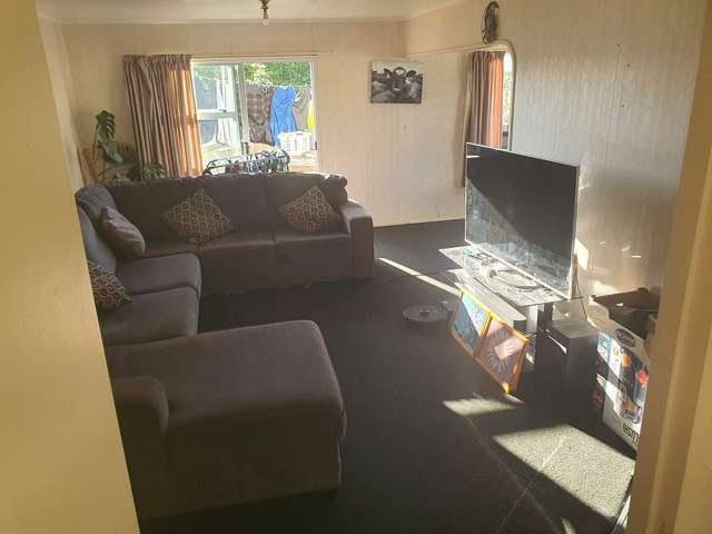 11 Gummer Place Morrinsville_4