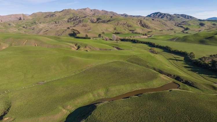 285 Grassmere Road Lake Grassmere_33