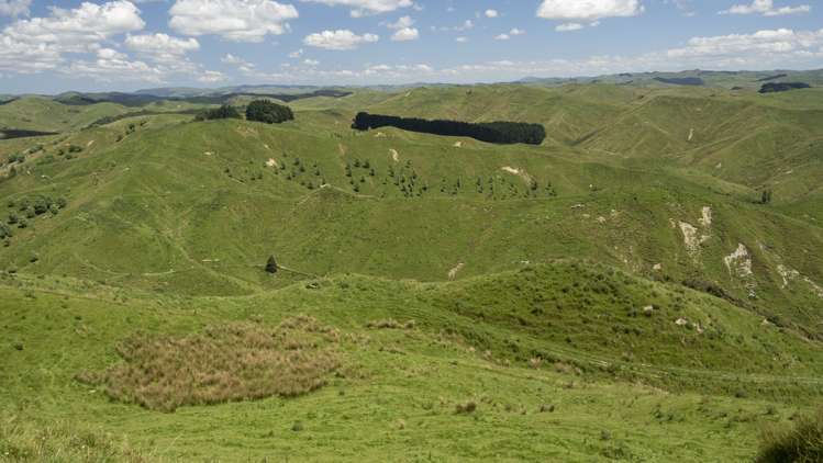 769 Pa Valley Road Eketahuna_5