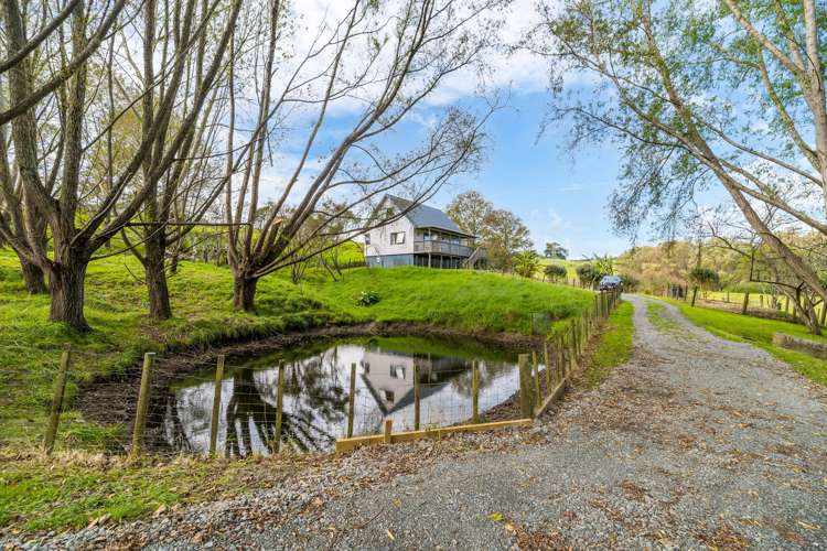 4b Dowson Place Kaiwaka_7