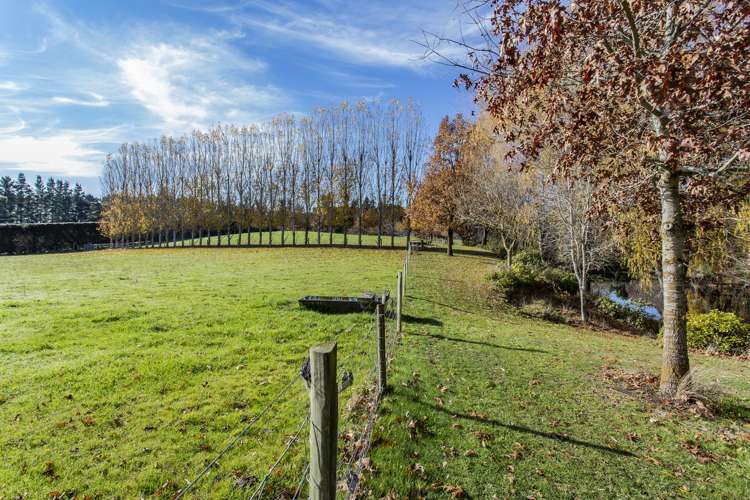 149 Parnassus Road Cheviot_15