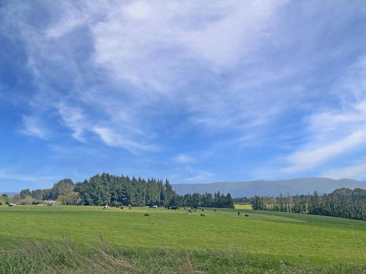 Hillend Road and Falla Burn Road Hillend_15