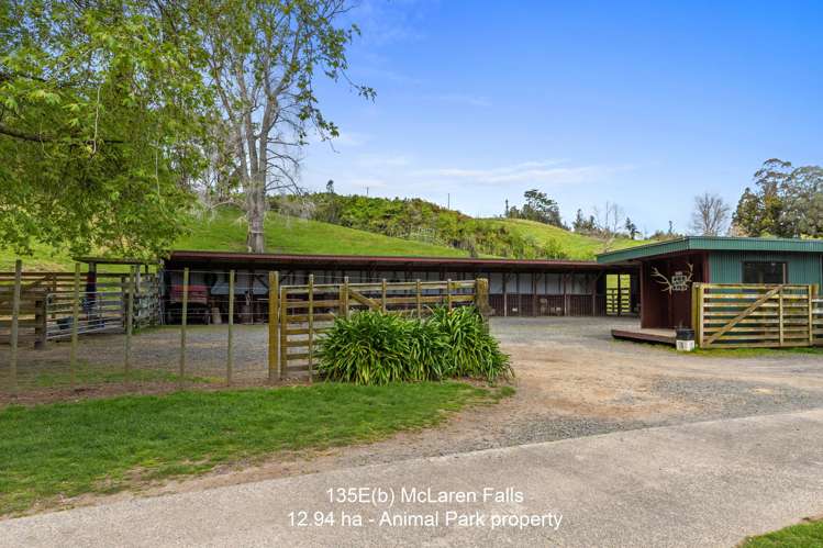 135E(a) McLaren Falls Road Omanawa_5