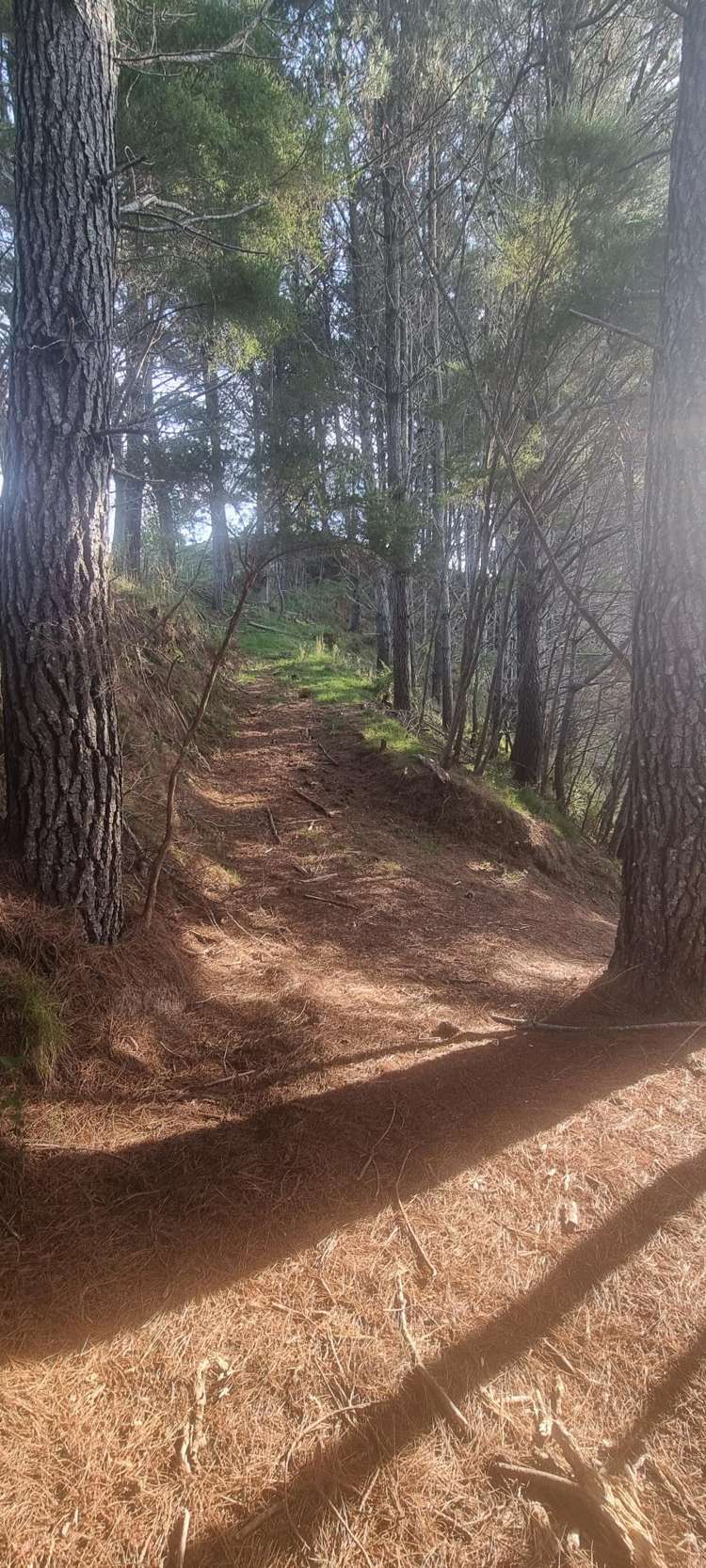 2877 State Highway 30 Rotoma_25