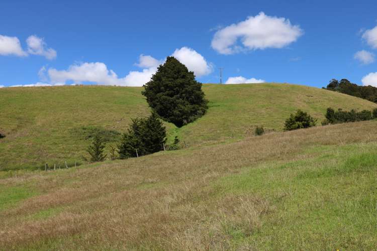 751 Paradise Road Tangiteroria_11