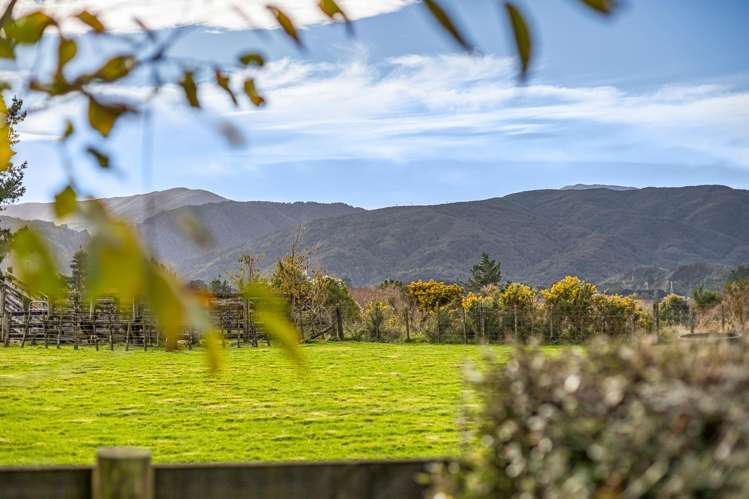 84 Gilbert Road Kaitoke_18