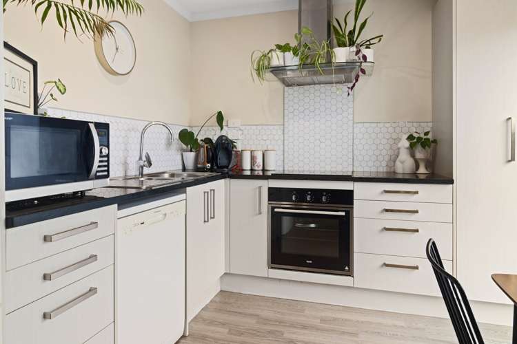 3/215 Massey Street Frankton_9