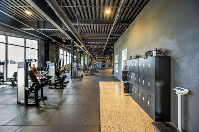 223 Greenlane West Epsom_3