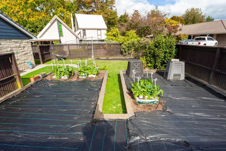 16 Kotuku Crescent Matamata_24