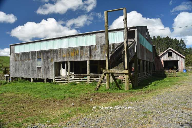 726 Paparoa Station Road Maungaturoto_79