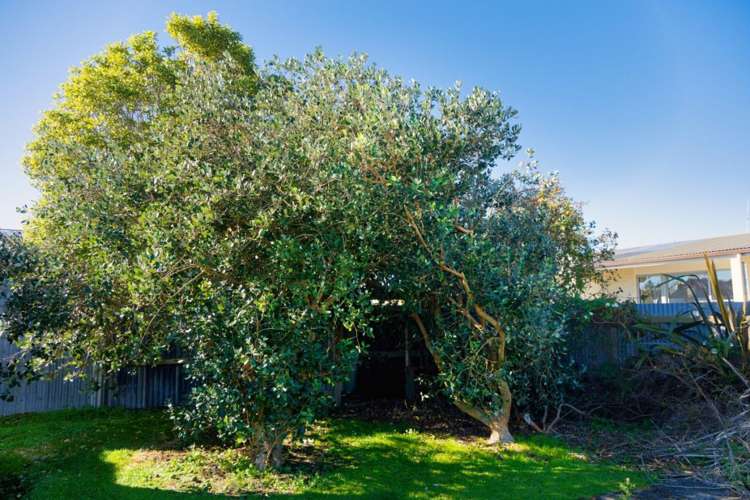 127 Beach Road Kaikoura_24
