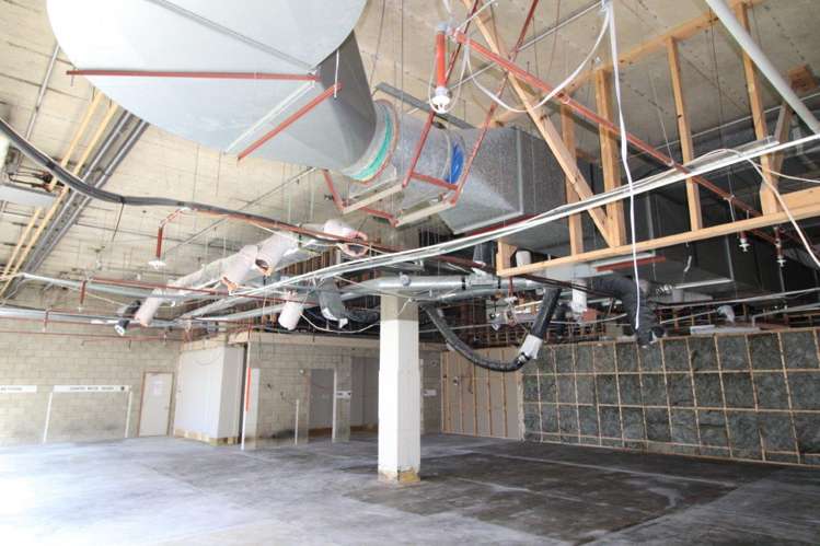 Rear/248 Cumberland Street Dunedin Central_5