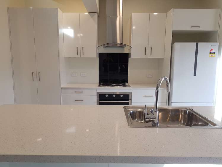 380 South Road Caversham_19