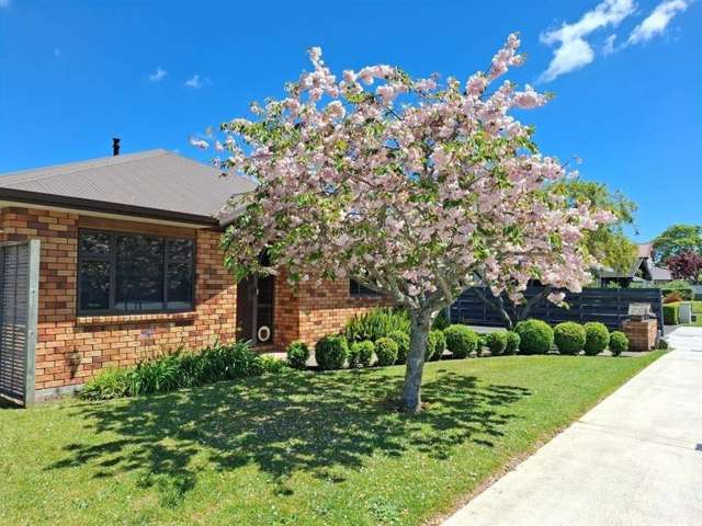 4-Bedroom Home in Central Cambridge – Walk to Town!