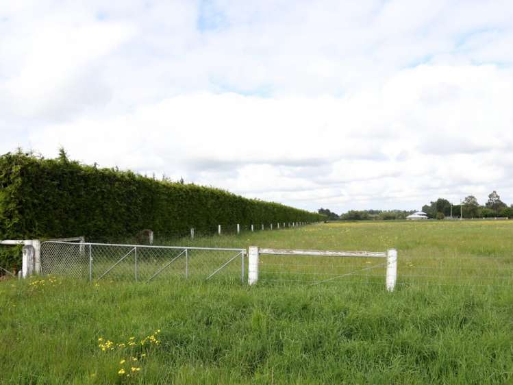 86 Carters Terrace Tinwald_9