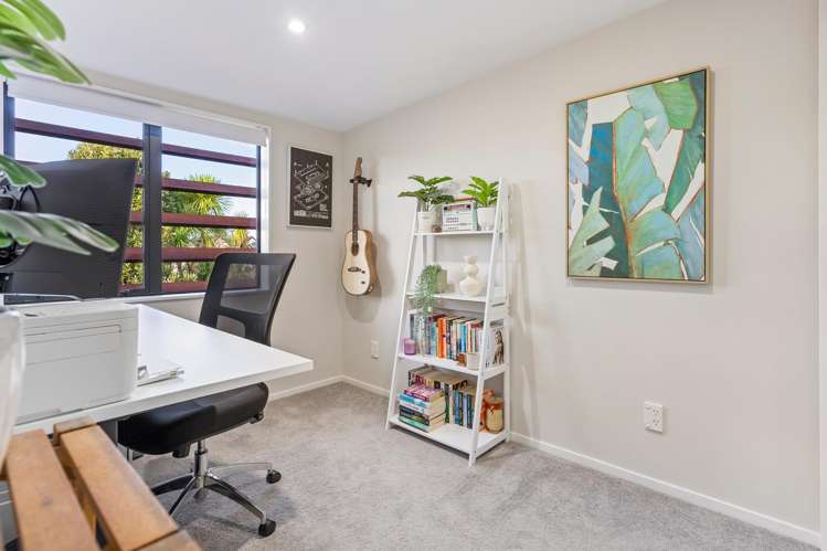 3C Springbank Lane Te Atatu Peninsula_20