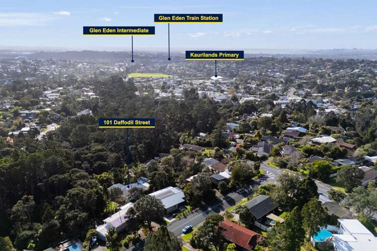 101 Daffodil Street Titirangi_31