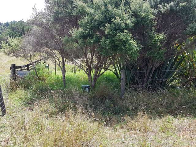 Te Pahi River Drive Paparoa_3