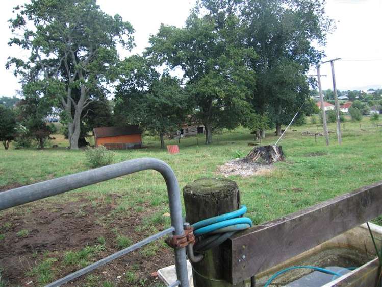 33 Ainslie Road Paeroa_16