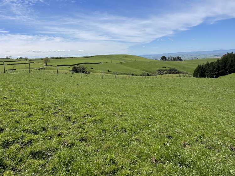 487 Pekanui Road. Rd 6 Te Awamutu_29