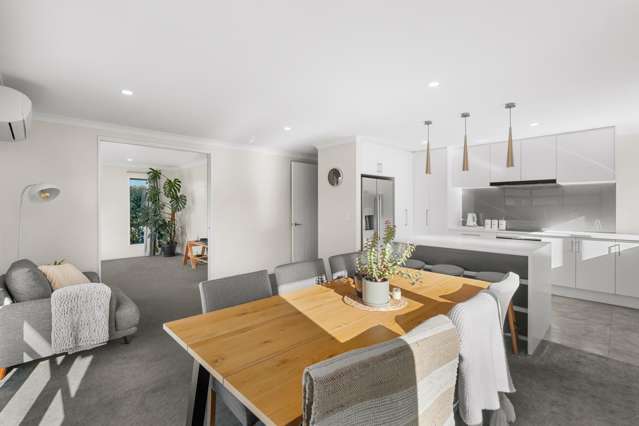 6 Ensete Road Wigram_1