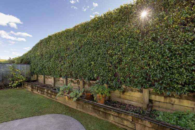 89/4 Greystone Place Omokoroa_15